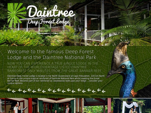 http://daintreedeepforestlodge.com.au/